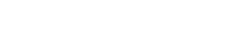 danni-gato