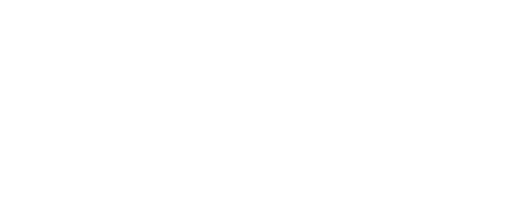 logo_algarvedrone